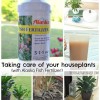Taking-care-of-your-houseplants.jpg Taking-care-of-your-houseplants.jpg
