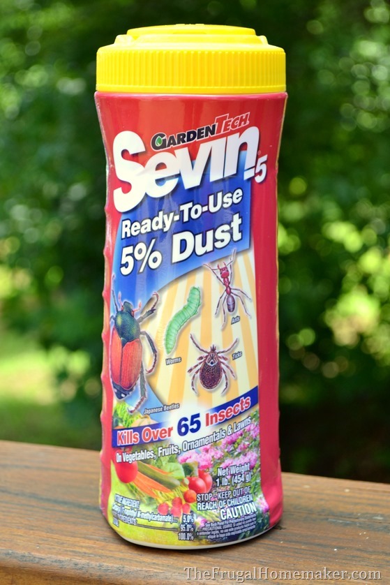 Taking care of summer pests + insects with Sevin dust