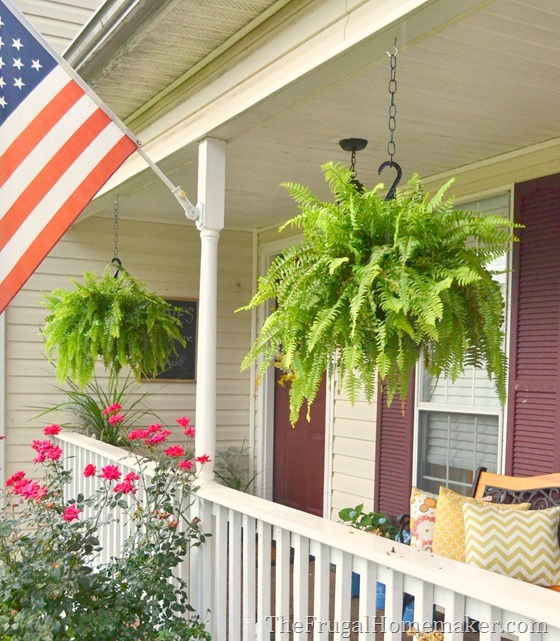 How to keep your ferns green and growing even in the summer heat