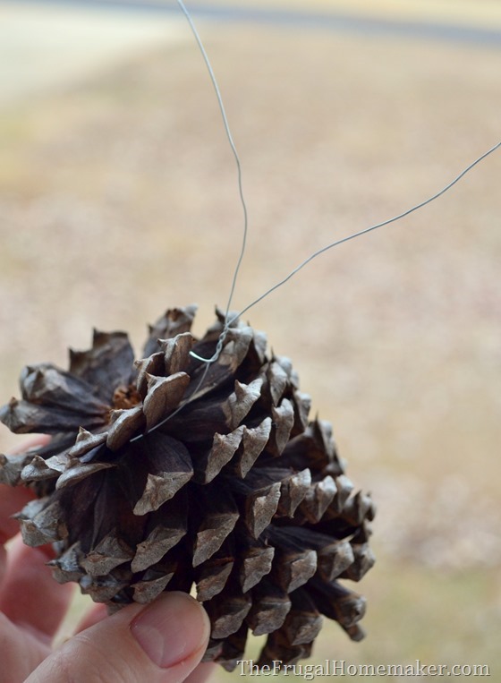 how to wire pinecones to a real evergreen wreath