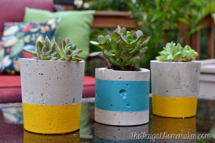 DIY Painted Concrete Planters (How to make your own concrete planters)